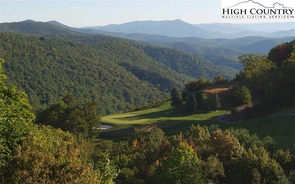 Image number 1 for the current listing
