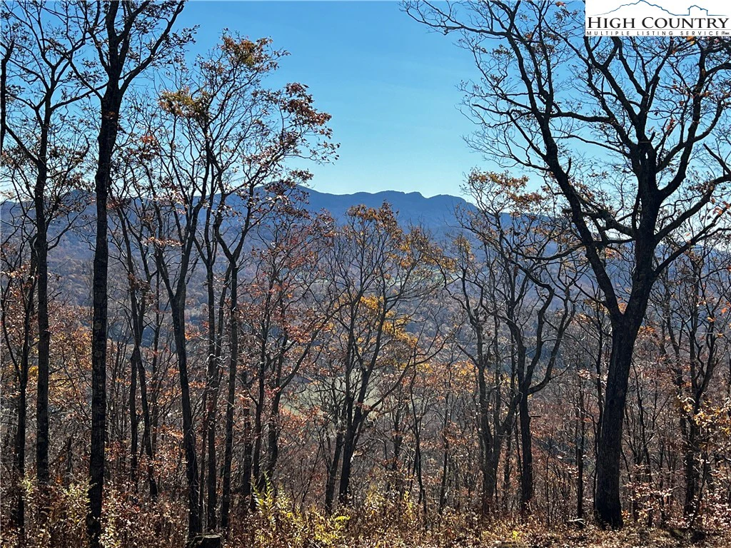 Image number 1 for the current listing