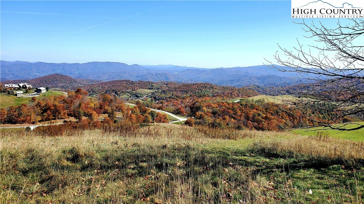 Image number 5 for the current listing