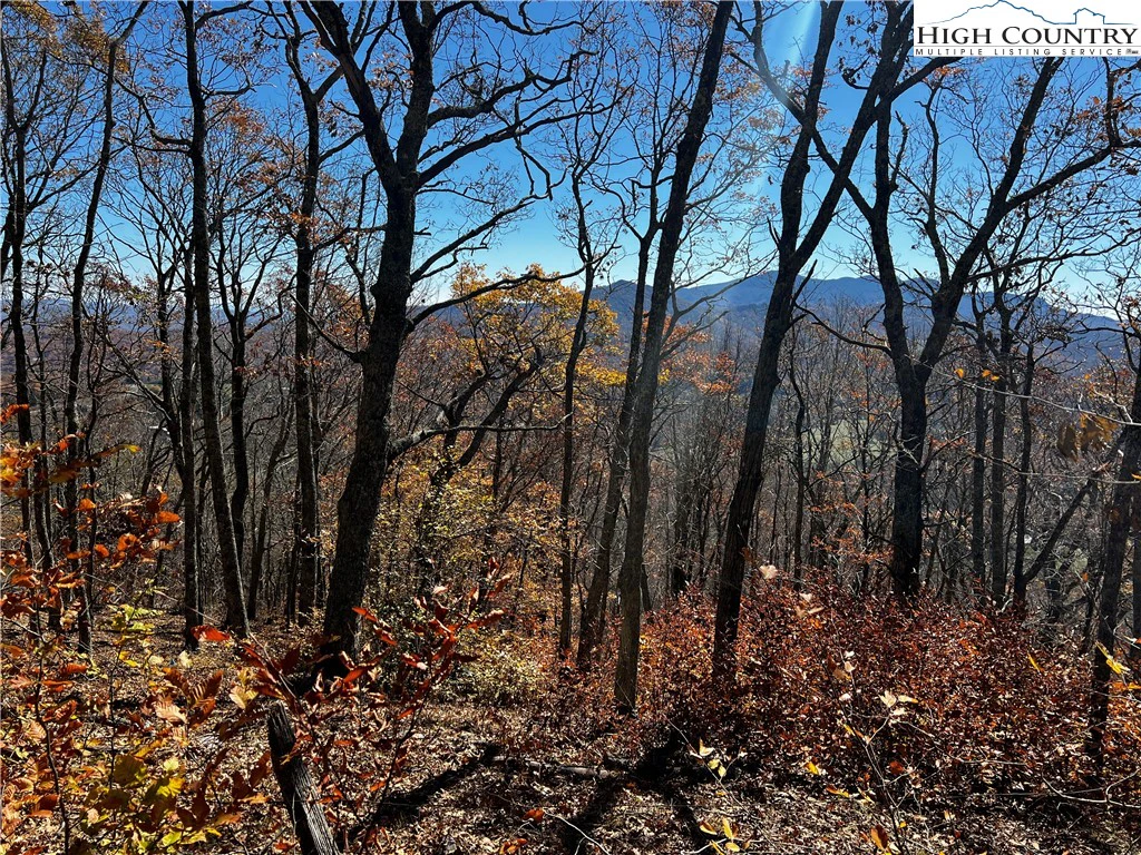 Image number 21 for the current listing