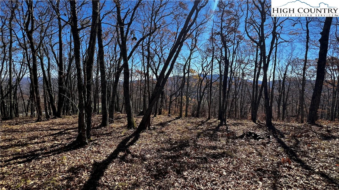 Image number 19 for the current listing
