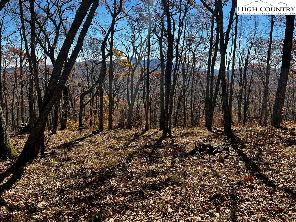 Image number 17 for the current listing