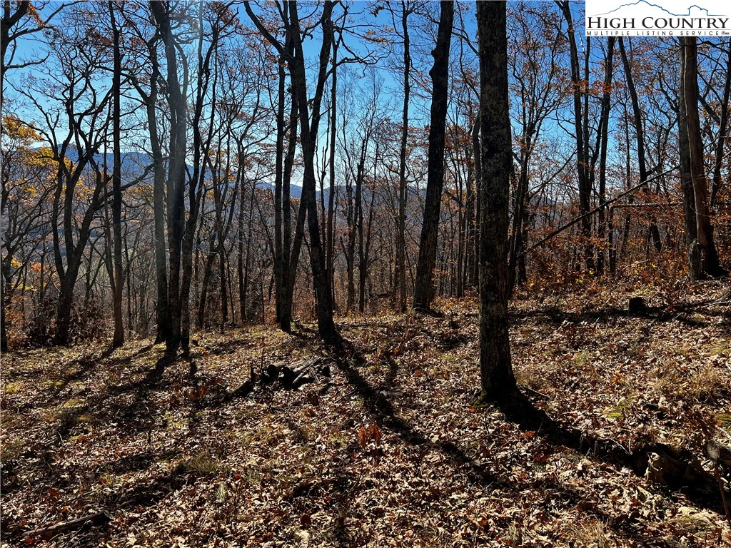 Image number 16 for the current listing