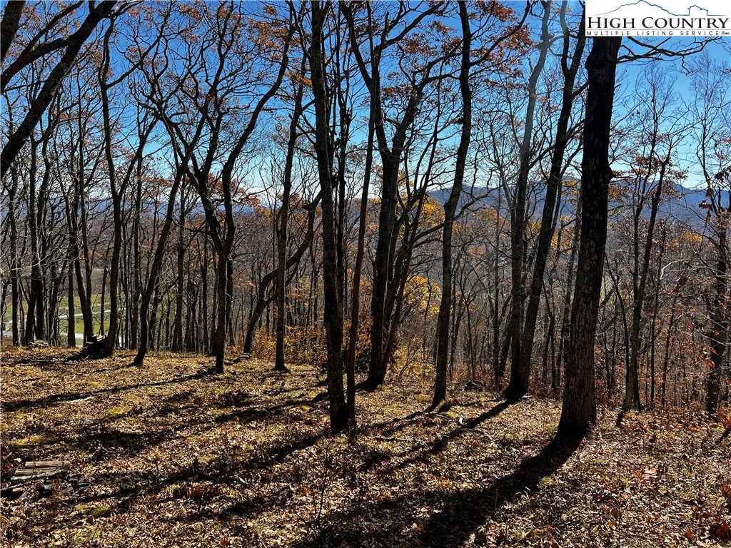 Image number 2 for the current listing