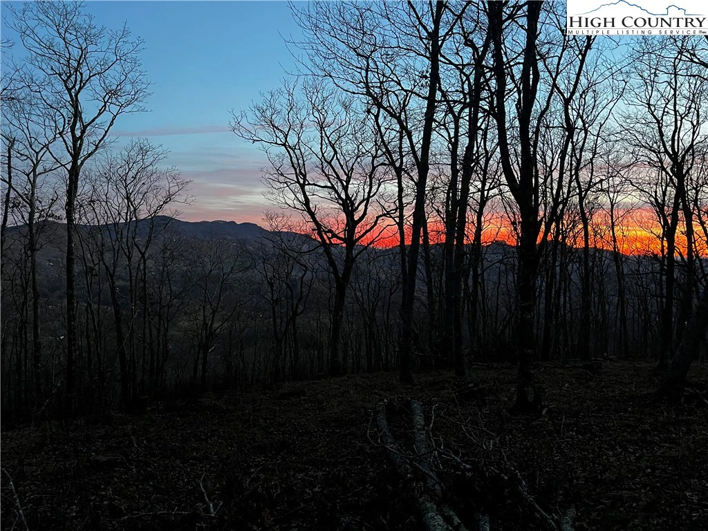 Image number 14 for the current listing