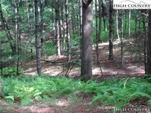 Image number 1 for the current listing