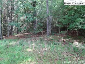 Image number 3 for the current listing