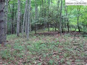 Image number 4 for the current listing