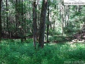 Image number 7 for the current listing