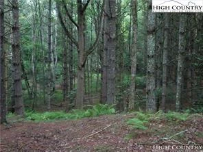 Image number 10 for the current listing