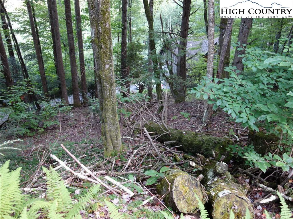 Image number 4 for the current listing