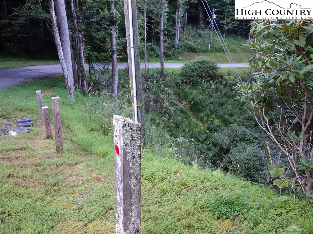 Image number 5 for the current listing