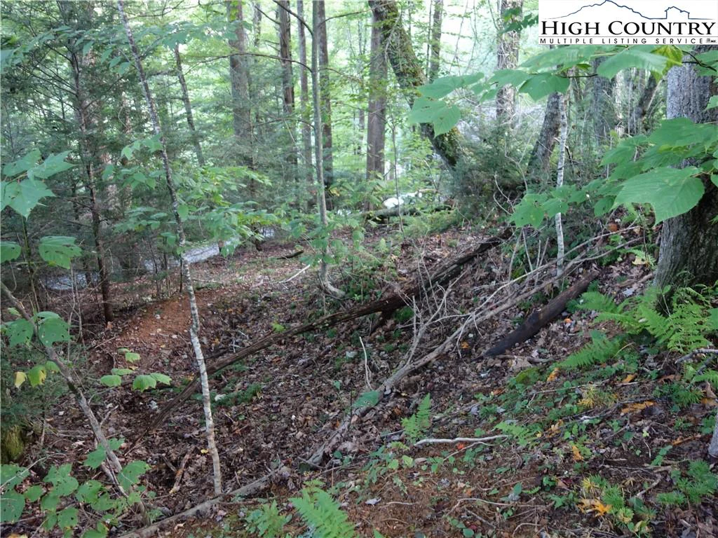 Image number 6 for the current listing