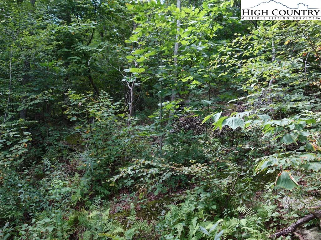 Image number 7 for the current listing