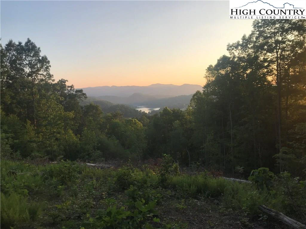 Image number 7 for the current listing