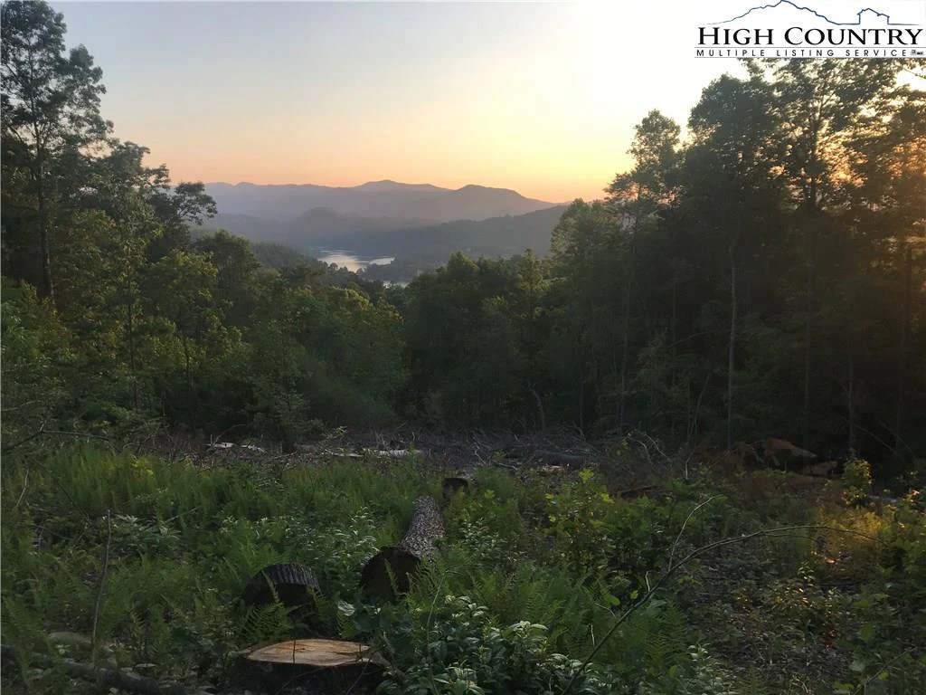 Image number 3 for the current listing
