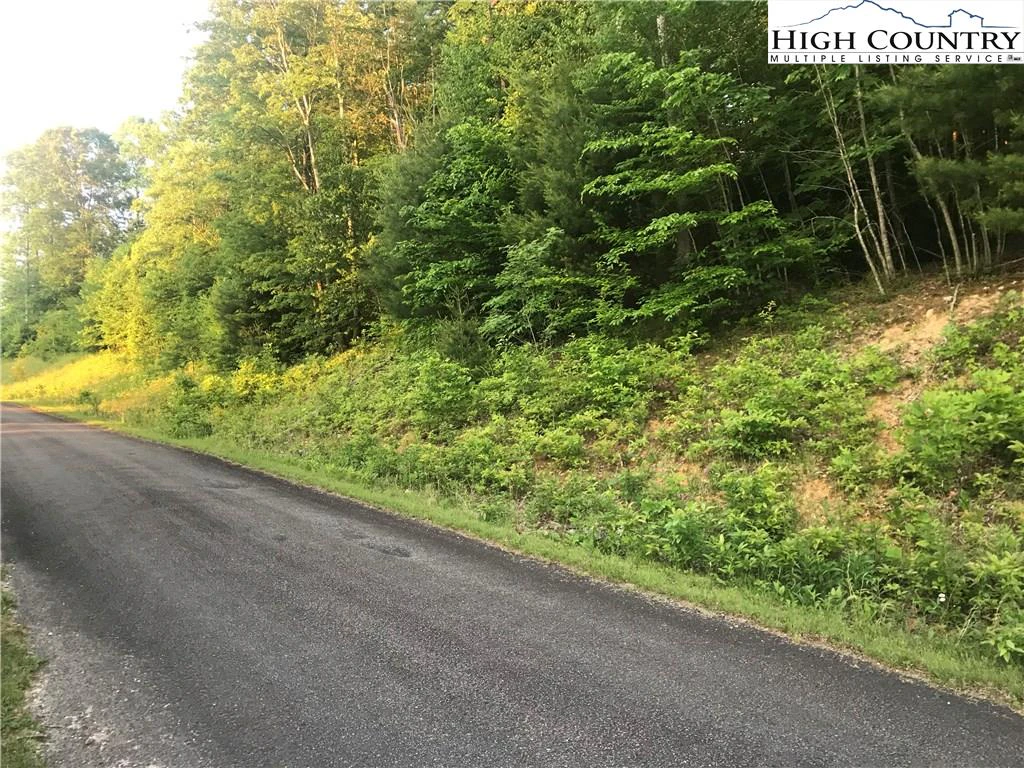 Image number 2 for the current listing