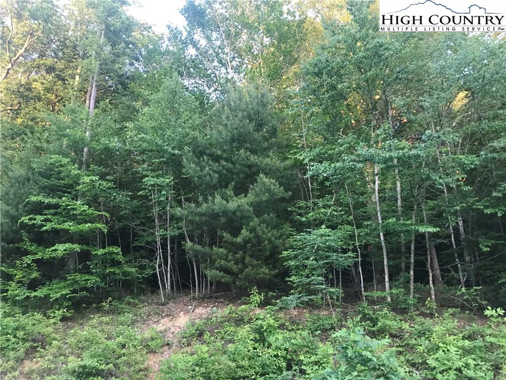 Image number 10 for the current listing
