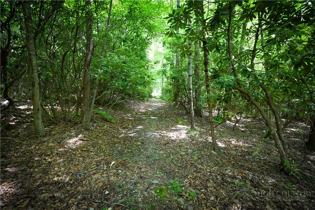 Image number 1 for the current listing