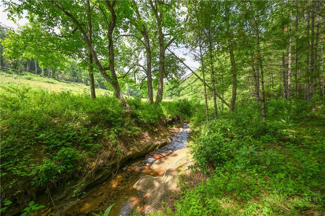 Image number 14 for the current listing