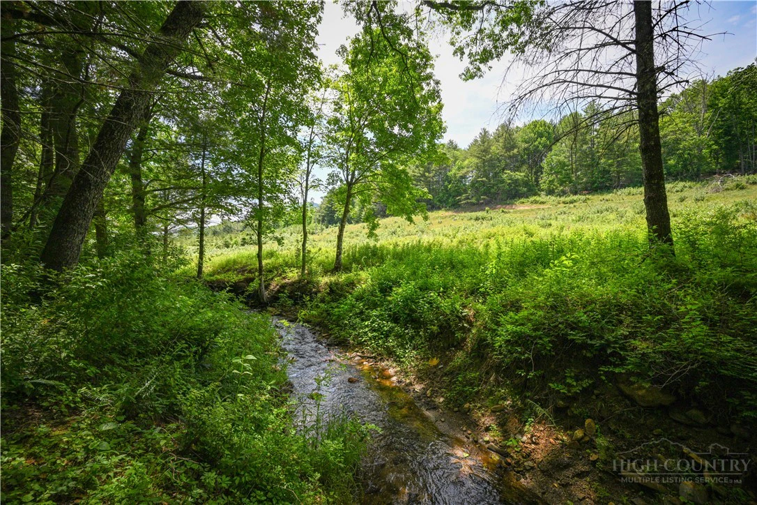 Image number 13 for the current listing