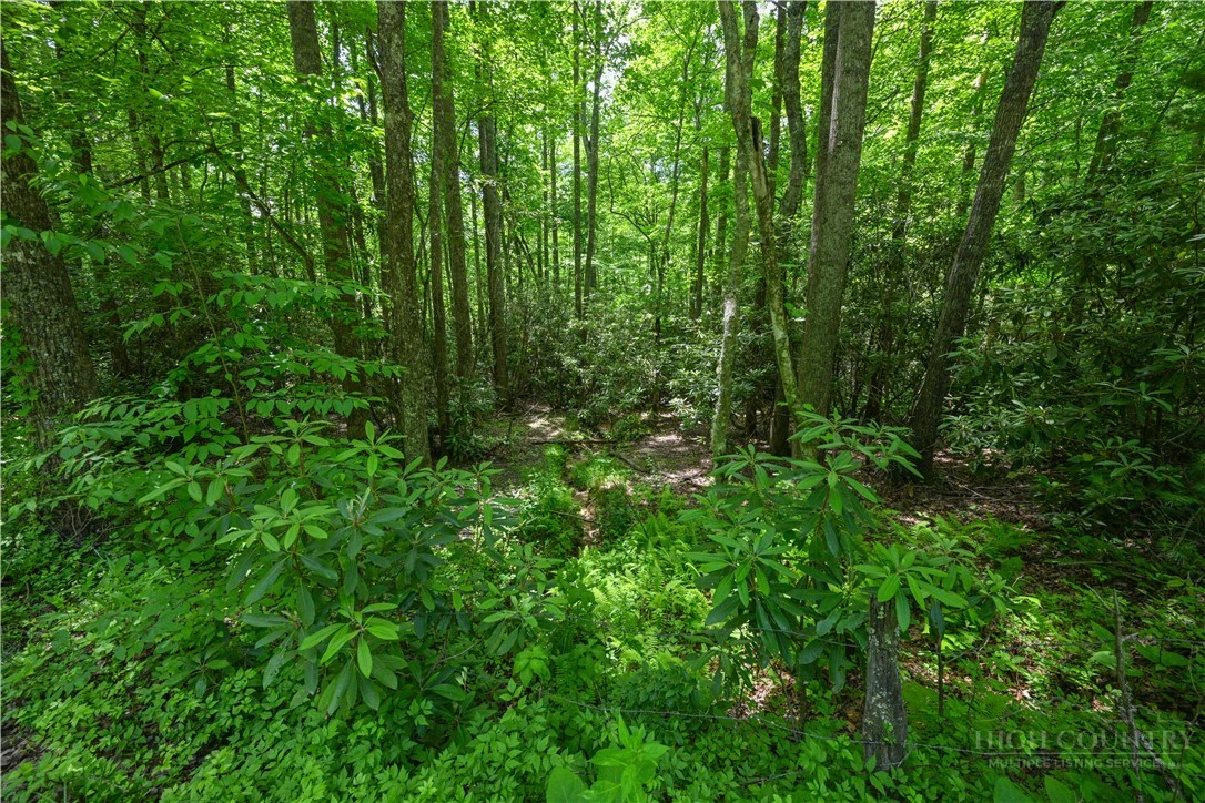 Image number 9 for the current listing