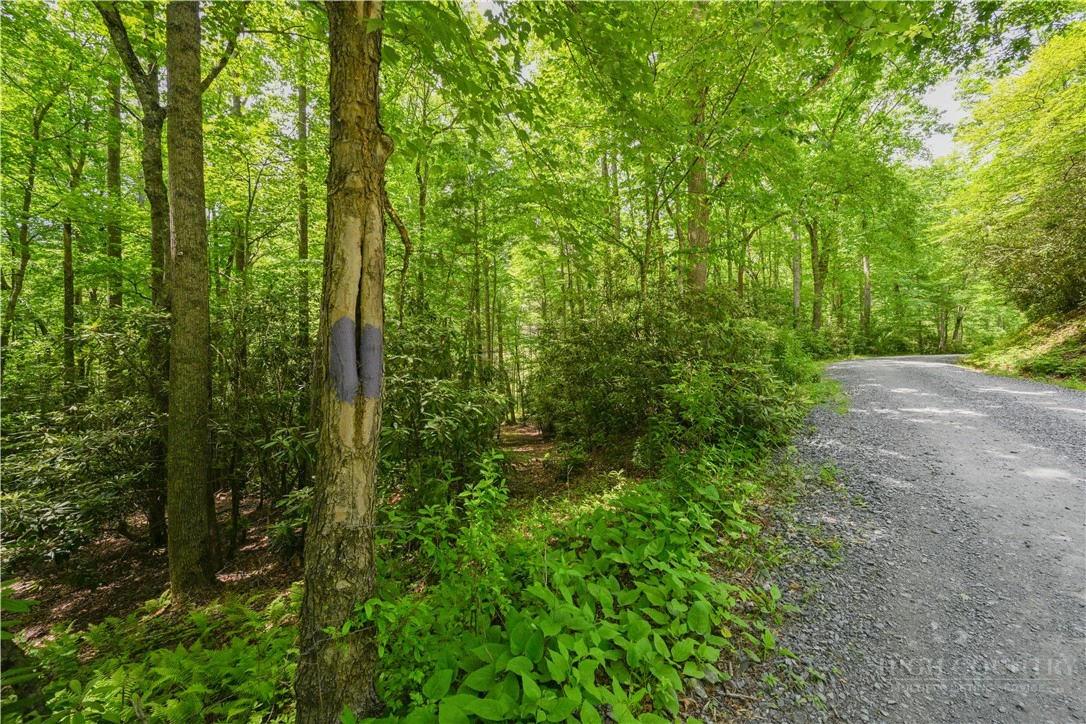 Image number 12 for the current listing