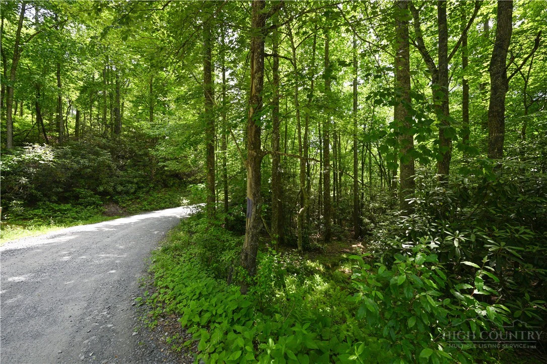 Image number 2 for the current listing