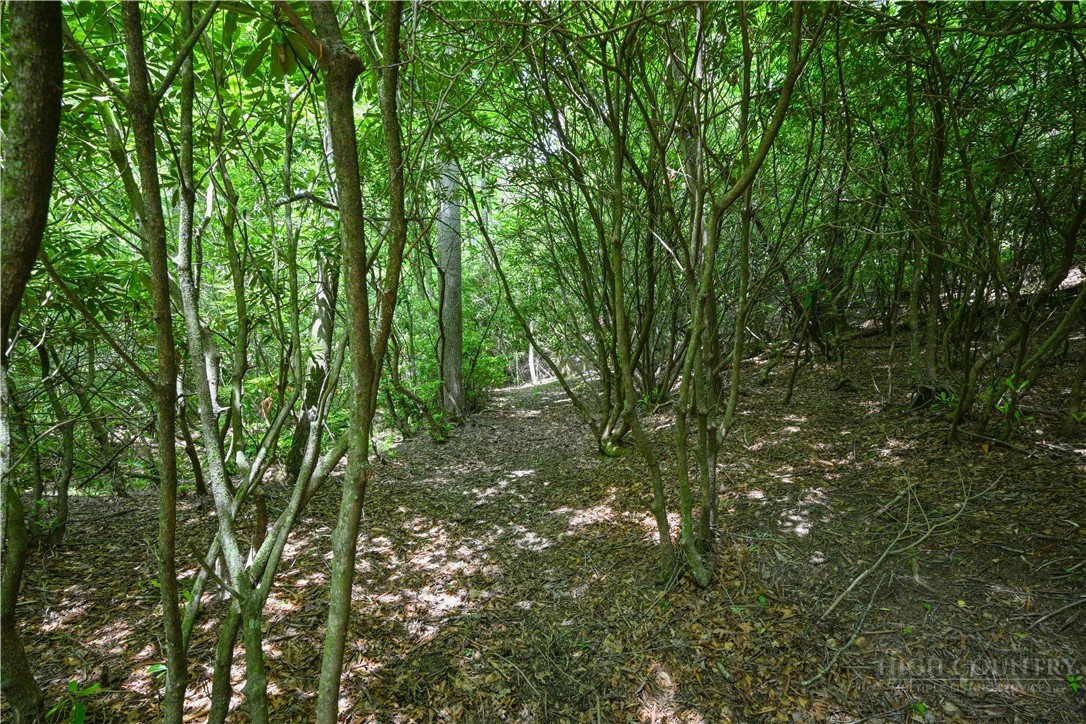 Image number 11 for the current listing