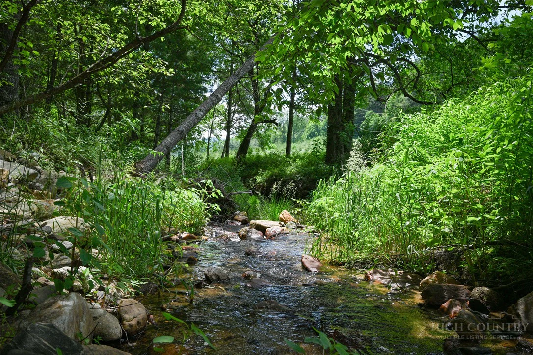 Image number 10 for the current listing