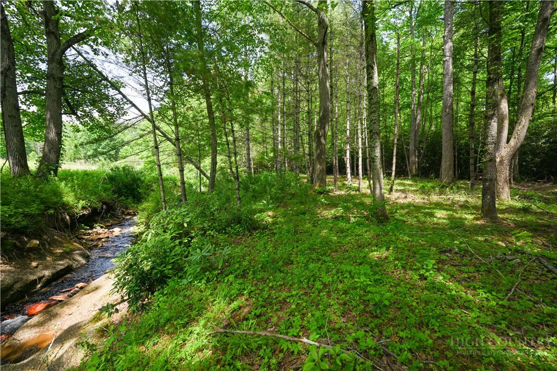 Image number 4 for the current listing