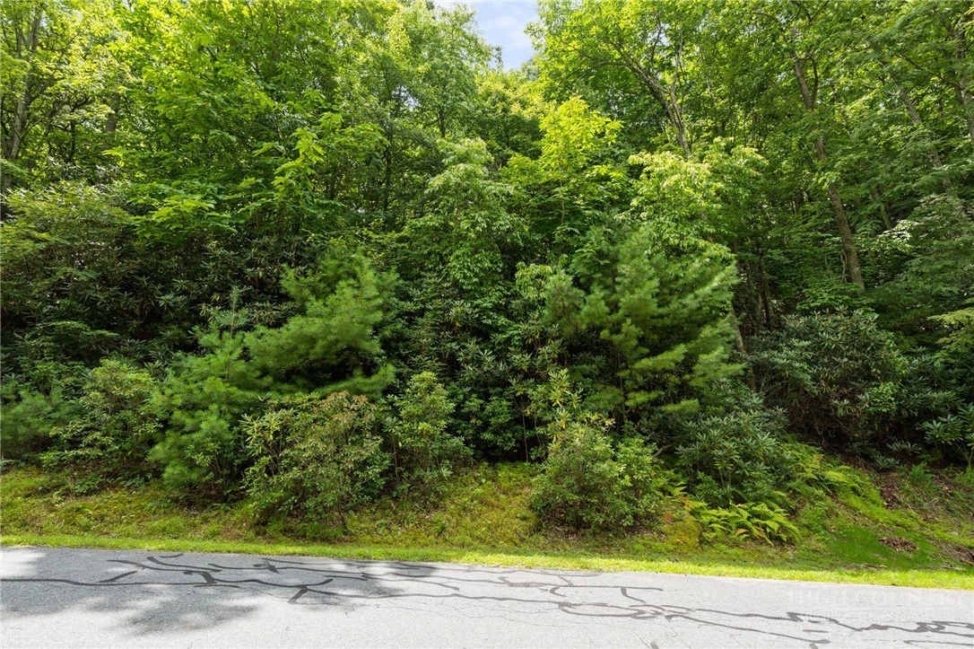 Image number 6 for the current listing