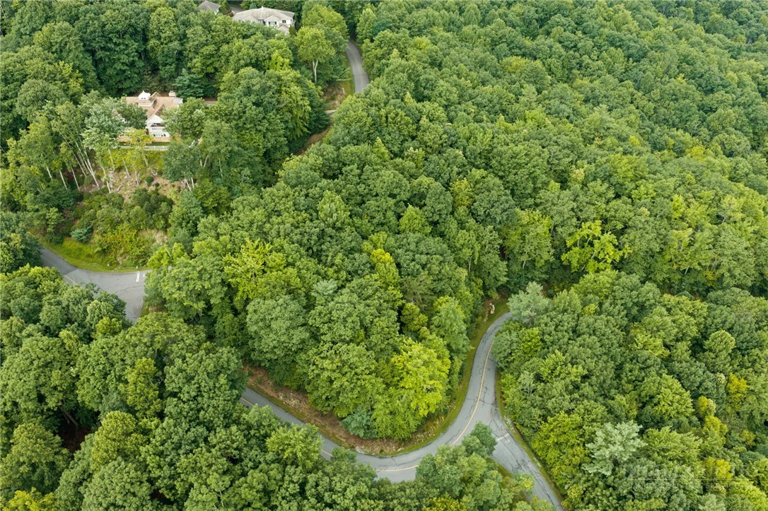 Image number 9 for the current listing