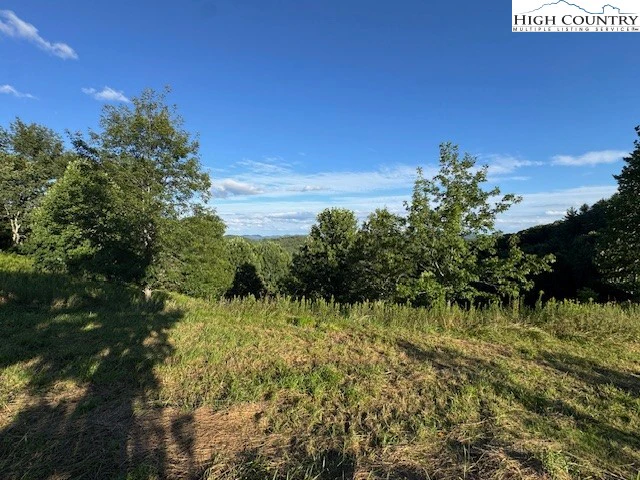 Image number 4 for the current listing