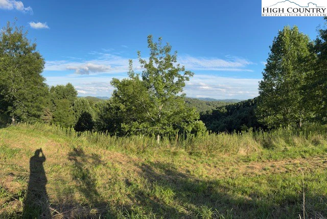 Image number 11 for the current listing