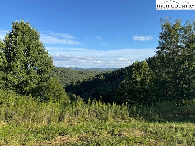 Image number 1 for the current listing