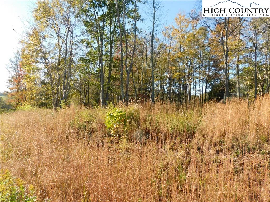 Image number 1 for the current listing