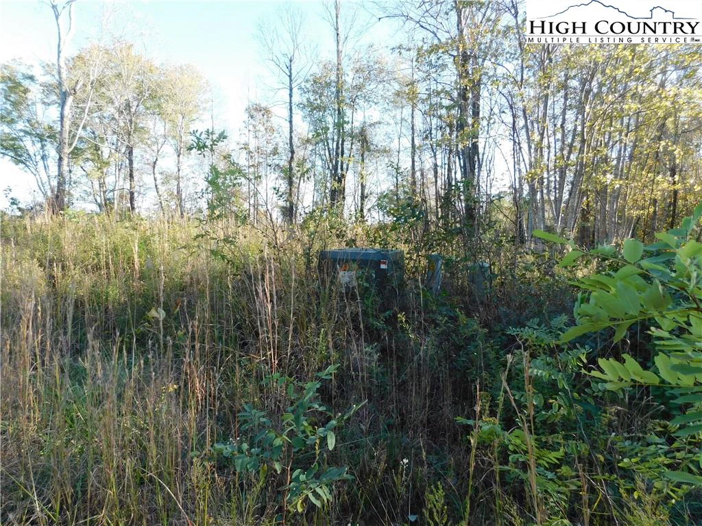 Image number 4 for the current listing