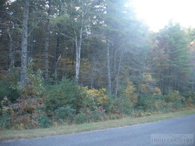Image number 1 for the current listing