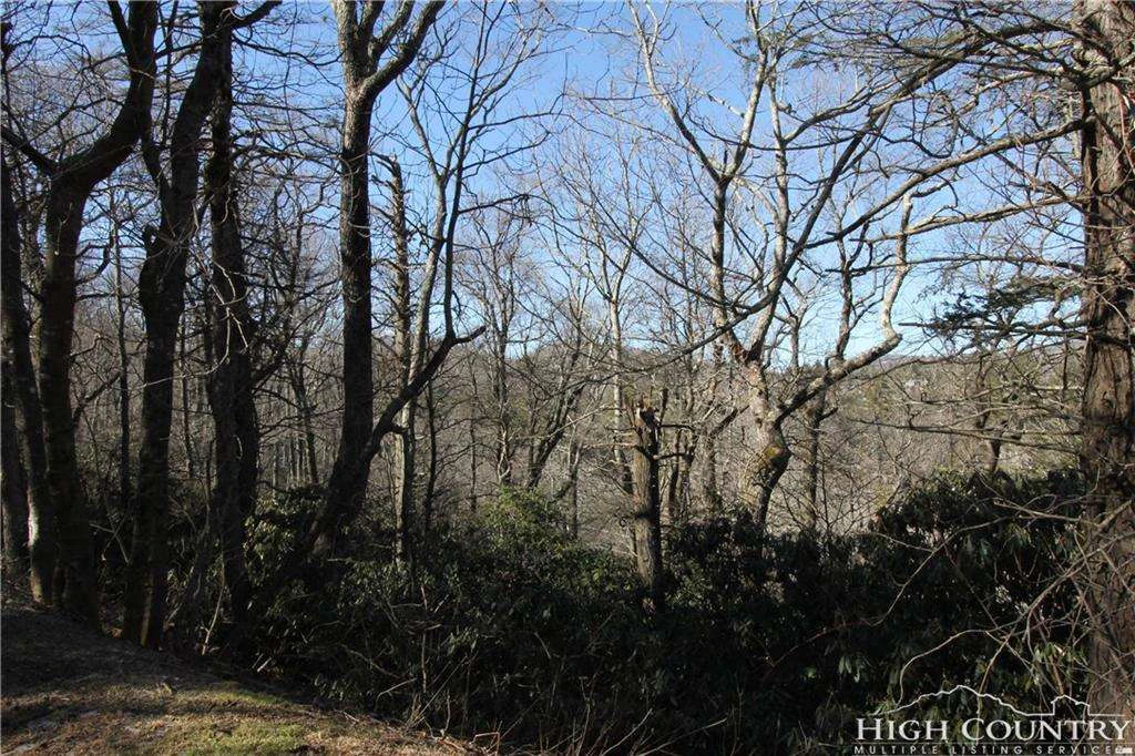 Image number 1 for the current listing