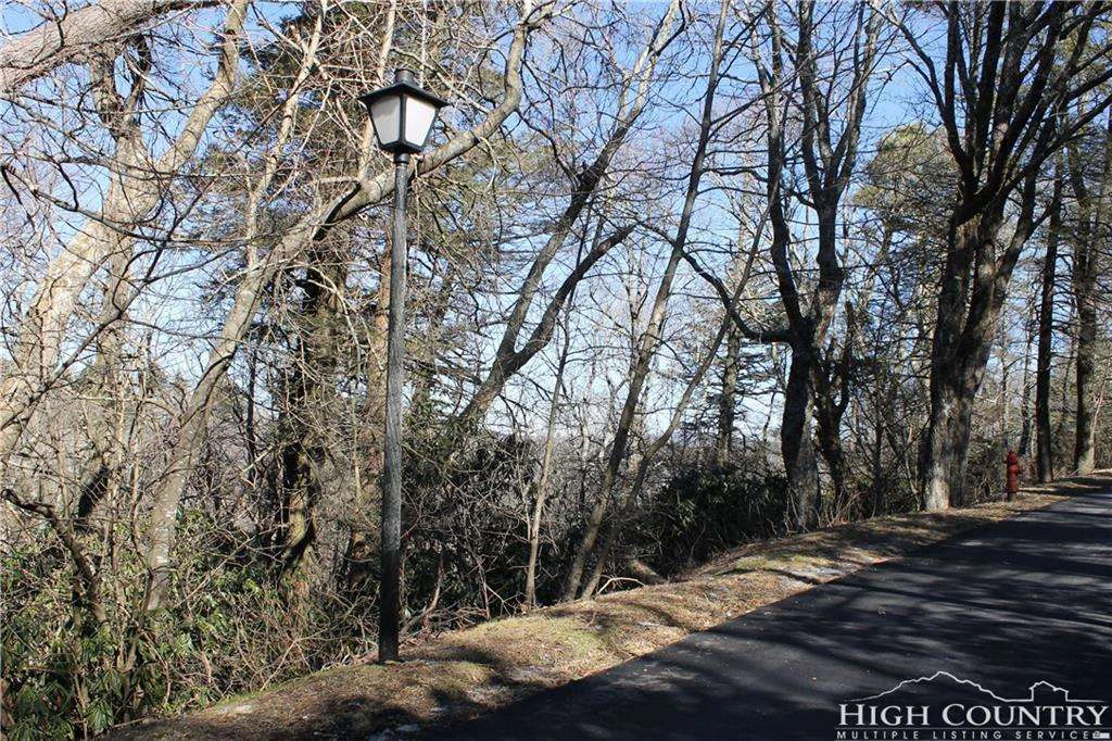 Image number 5 for the current listing
