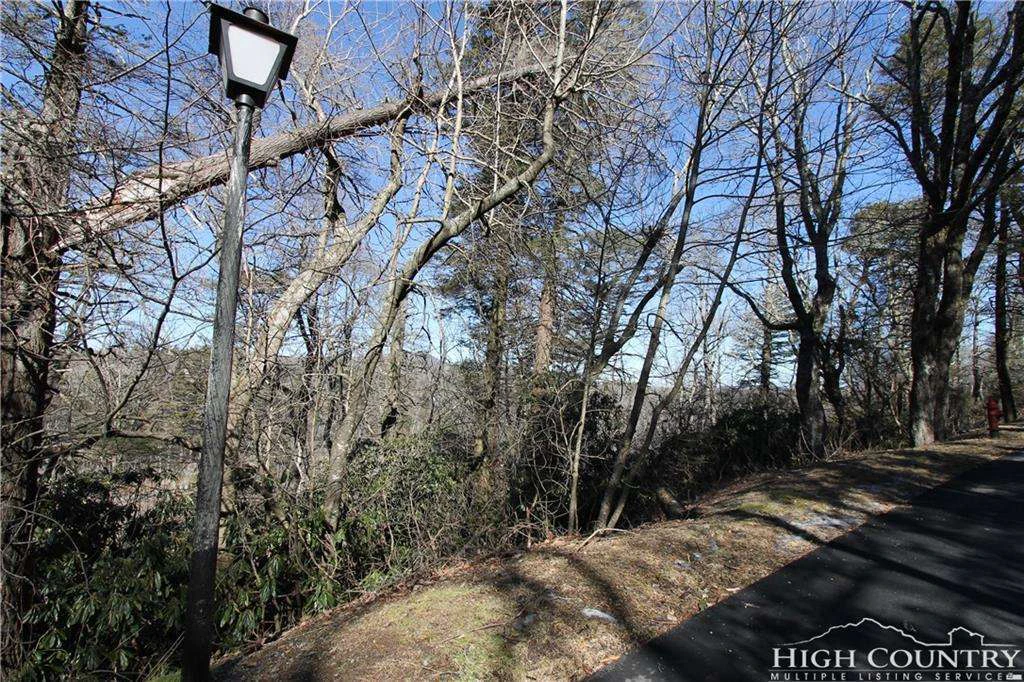 Image number 7 for the current listing