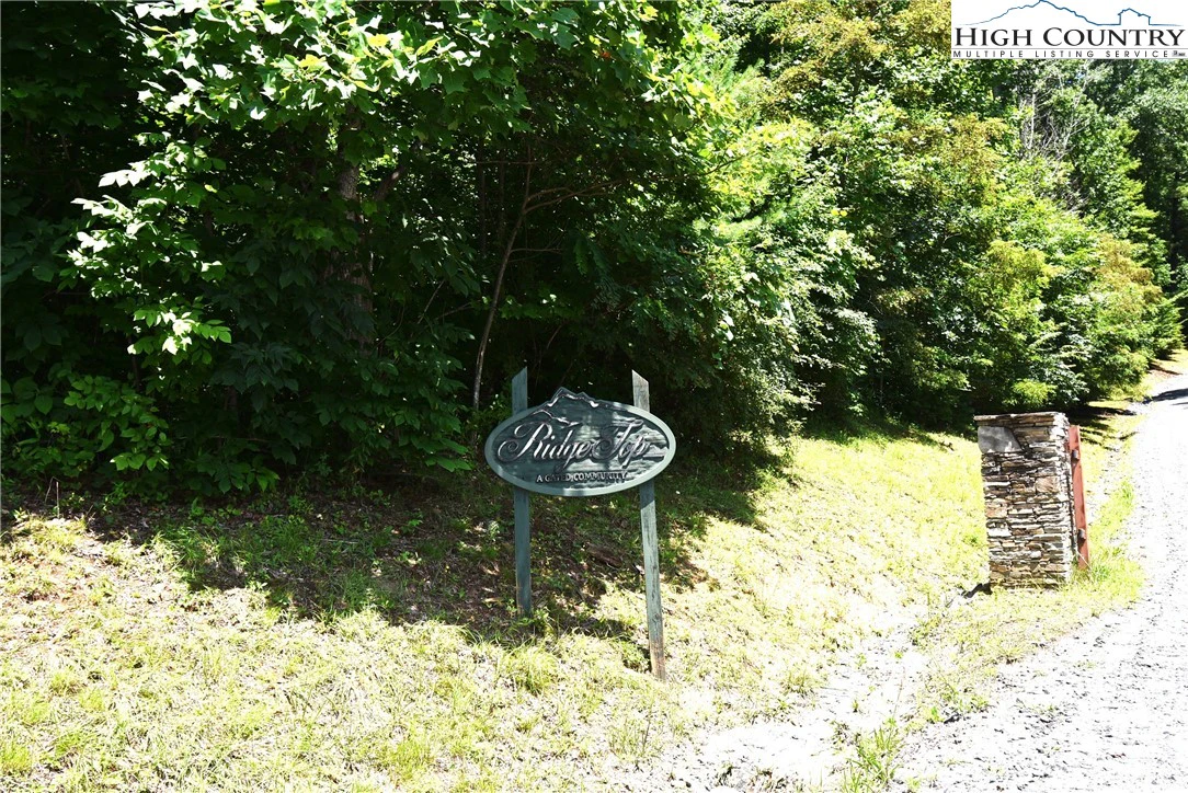 Image number 5 for the current listing