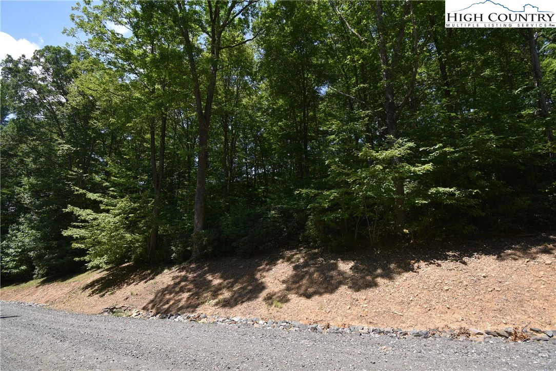 Image number 3 for the current listing