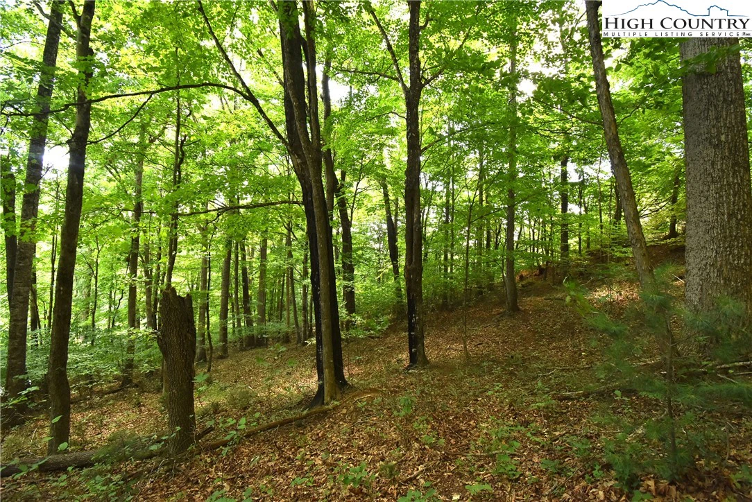 Image number 1 for the current listing