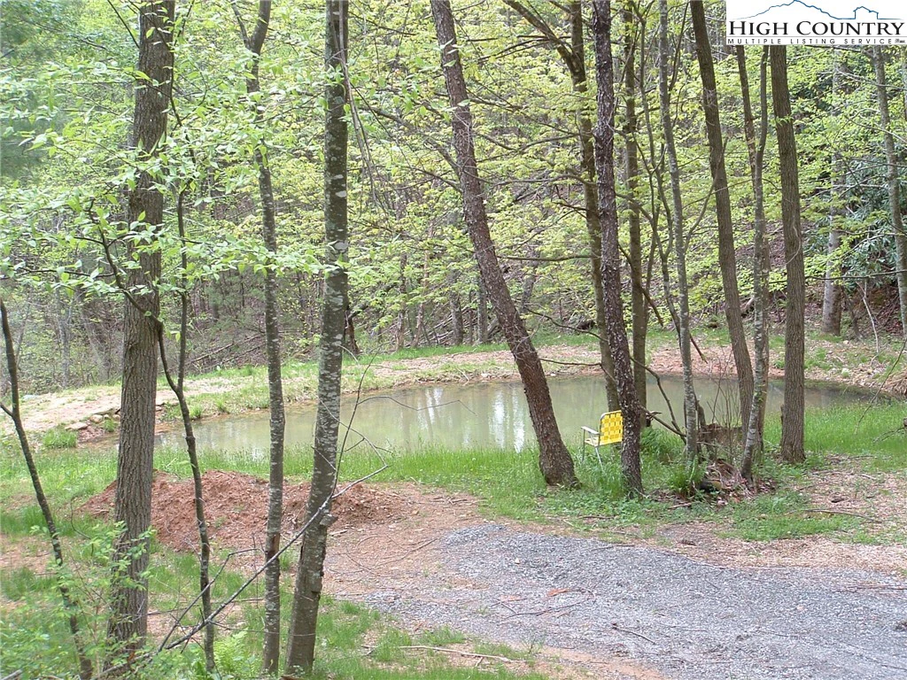 Image number 1 for the current listing