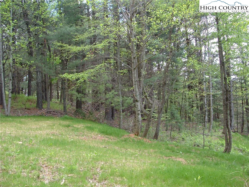 Image number 3 for the current listing