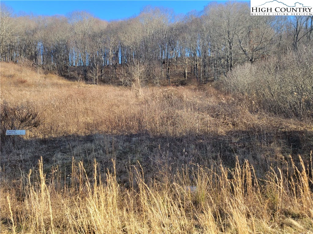 Image number 1 for the current listing