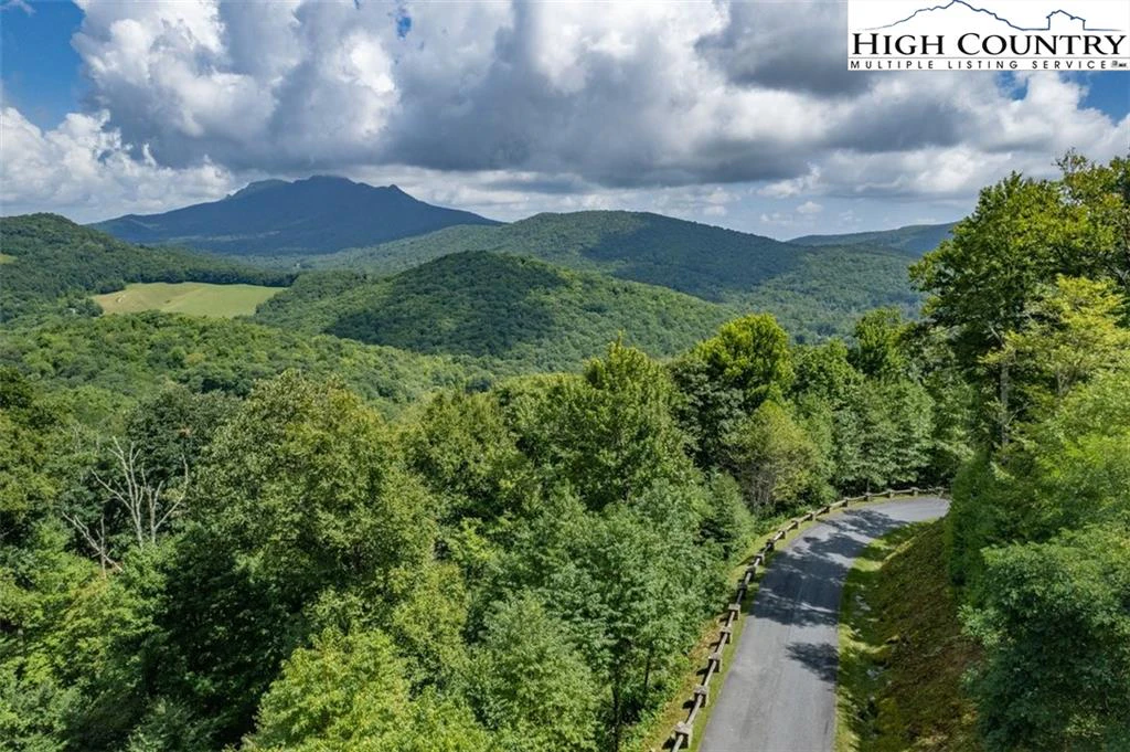 Image number 4 for the current listing