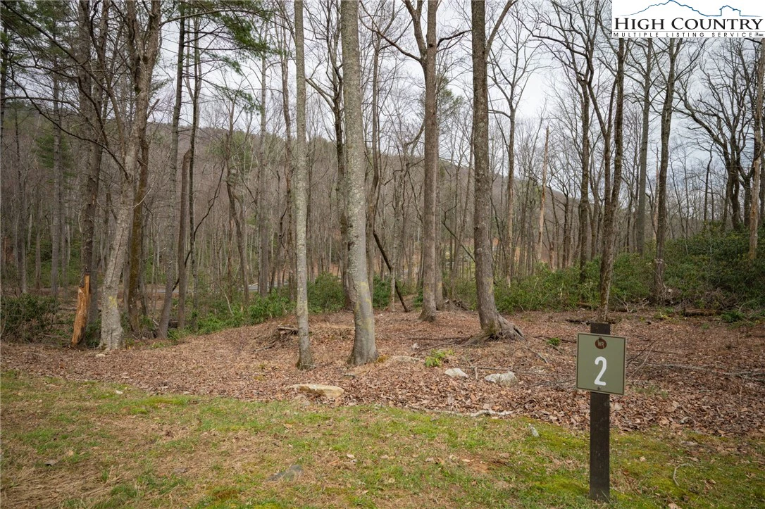 Image number 1 for the current listing